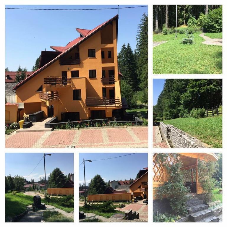 Pensiunea Mihaela Poiana Brasov Exterior photo