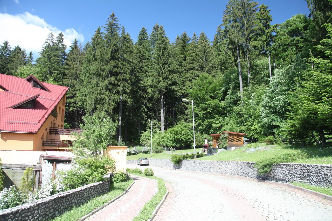 Pensiunea Mihaela Poiana Brasov Exterior photo